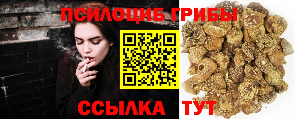 Галлюциногенные грибы MAGIC MUSHROOMS  Вход с VPN  Зеленодольск  Псилоцибиновые грибы прущие грибы 
